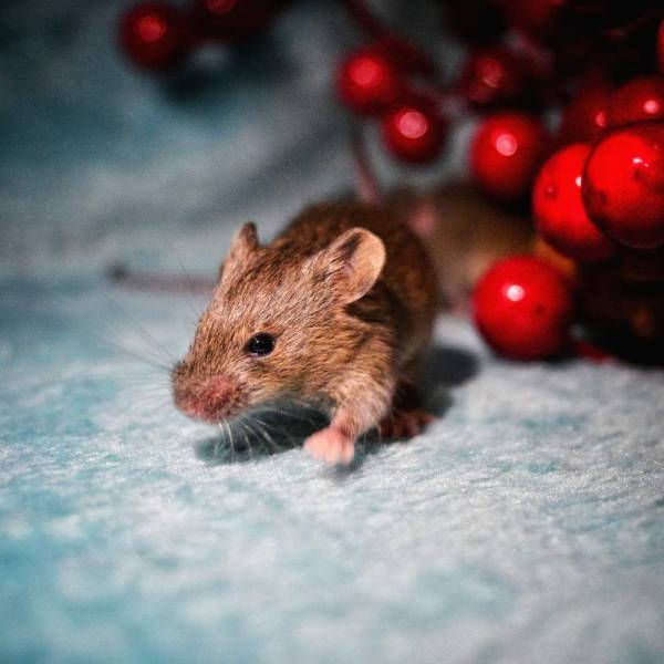 Image showcasing Industrial Penthouse (First Floor Apartment)  - YouTube