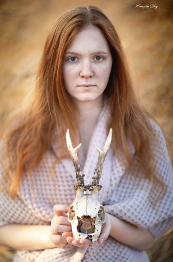 Julia Wo niakowska Chamomile Mousery Official Breeder julia-wo-niakowska-chamomile-mousery-official-breeder