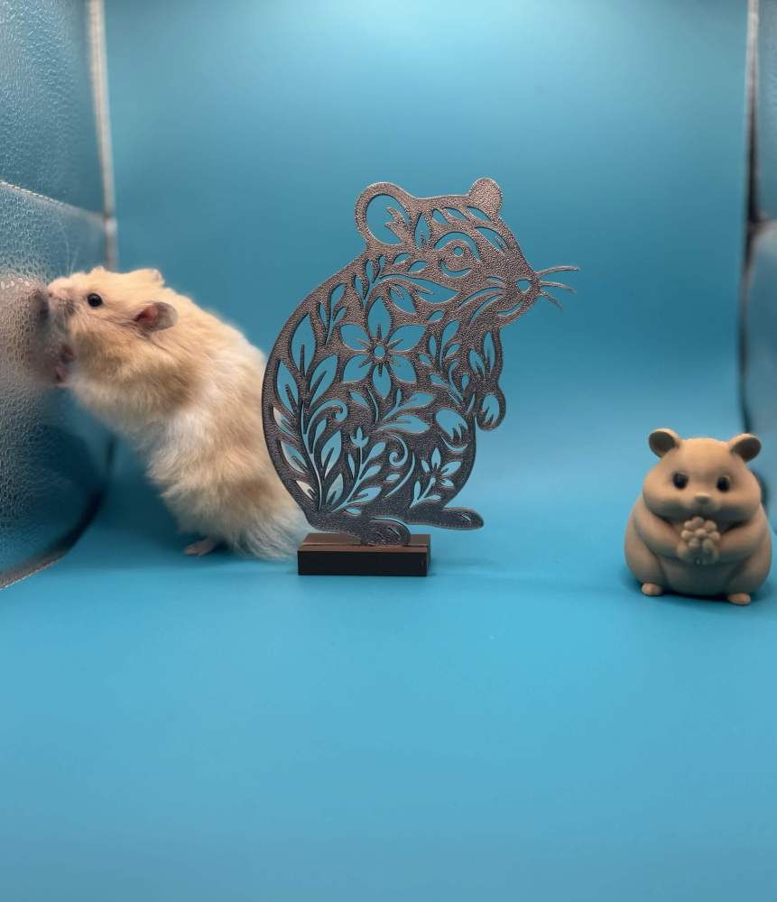 Golden hamster Owned by other Mesocricetus auratus 